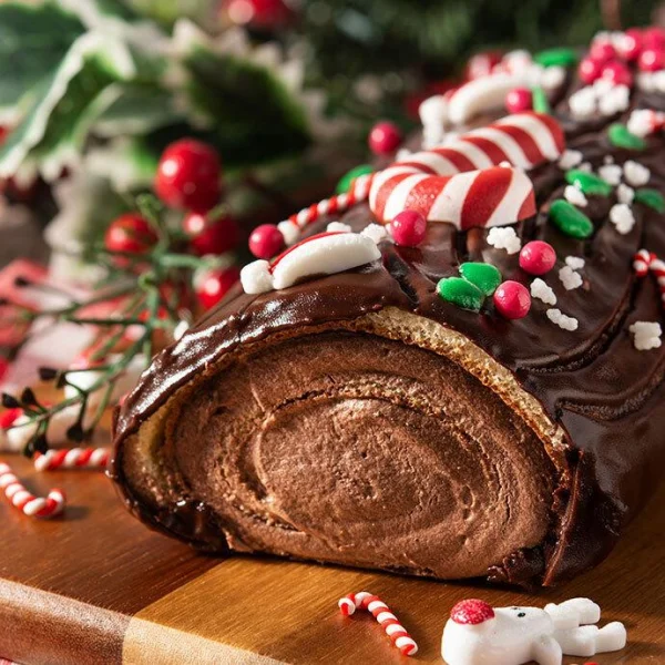 Bûche chocolat et praliné